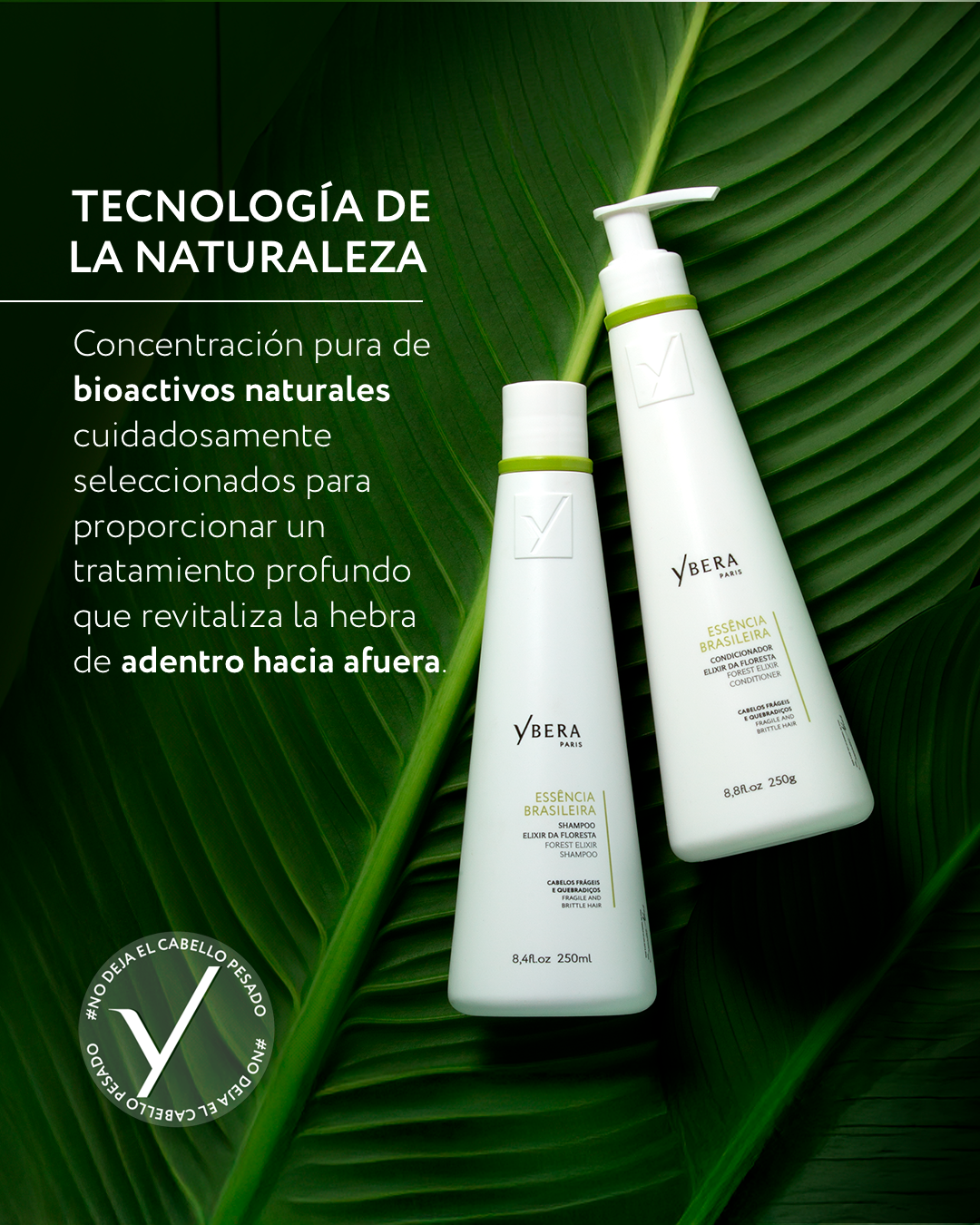 Essencia Brasileira Floresta Kit (Shampoo + Conditioner) (250ml + 250g)